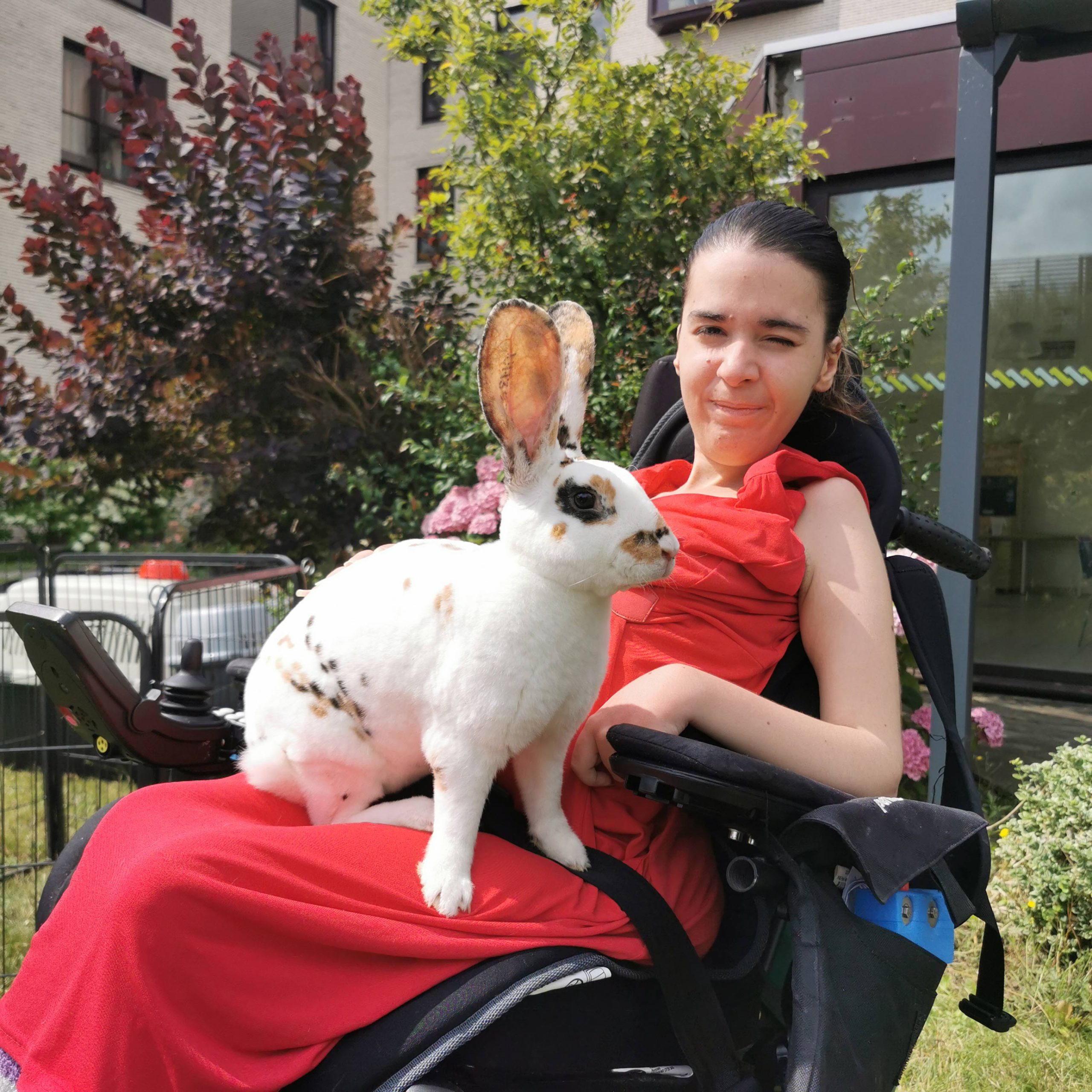 Jeune fille du Foyer d'Accueil Médicalisé en séance de médiation animale, accompagnée d'un magnifique lapin.